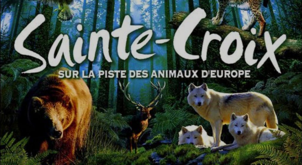 Activités en Alsace Bossue - Parc animalier de Sainte-Croix à 34 minutes