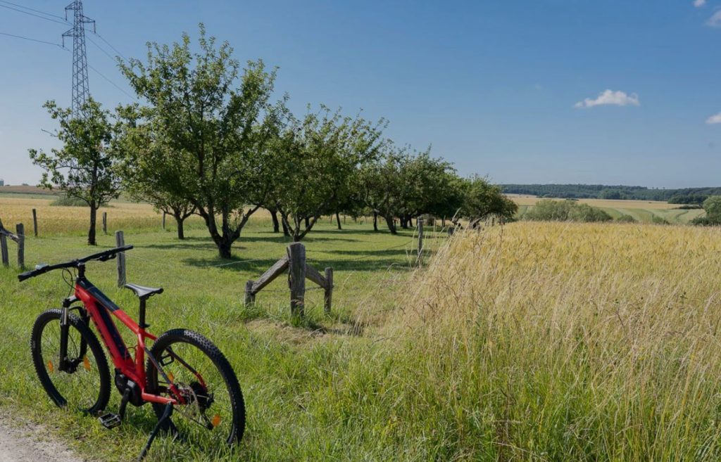 Pistes cyclables autour de Rimsdorf